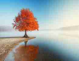 专‌业﻿语‌义​搜﻿索‌软‍件‌是​什﻿么‌